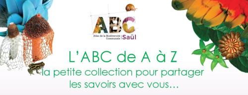 abc_saul_collectionaaz_bandeau.jpg