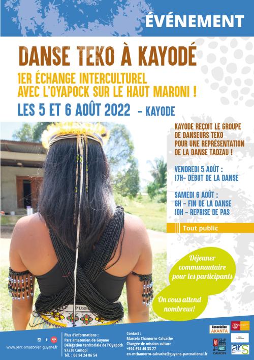 danse_teko_kayode.jpg