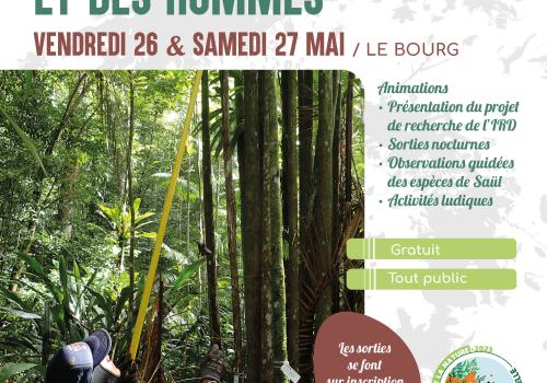 Fête de la nature à Saül