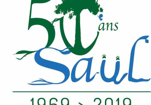 logo50anssaul.jpg