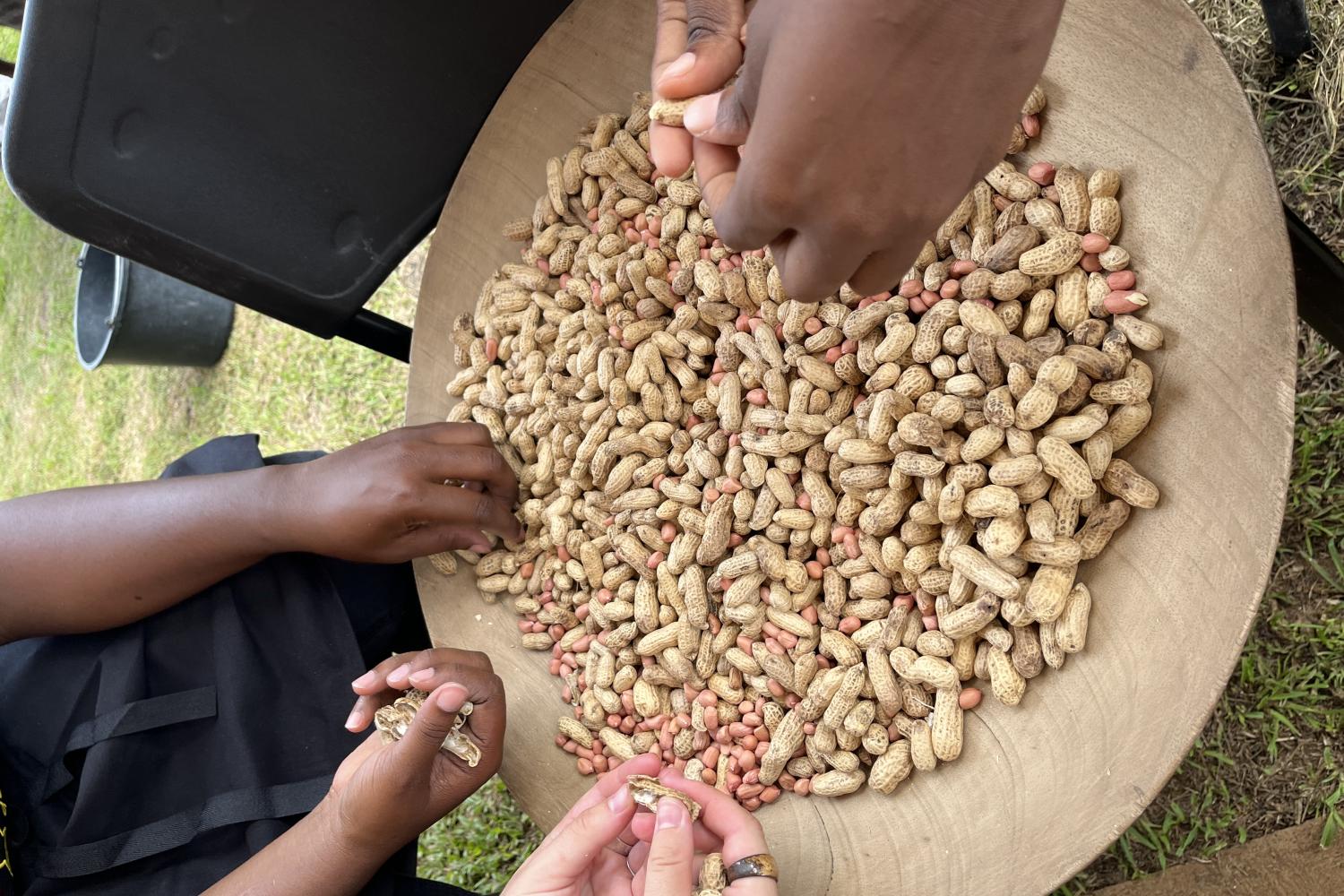 Papaïchton - Journée de la gastronomie durable - 16 juin 2023