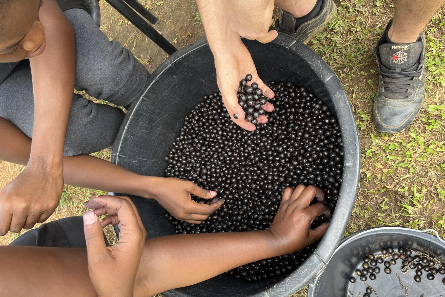 Papaïchton - Journée de la gastronomie durable - 16 juin 2023