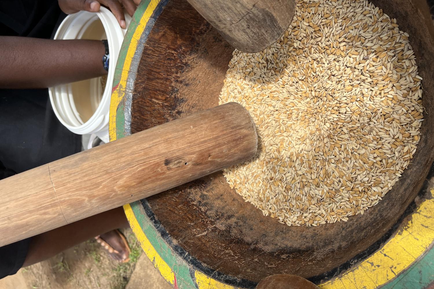 Papaïchton - Journée de la gastronomie durable - 16 juin 2023