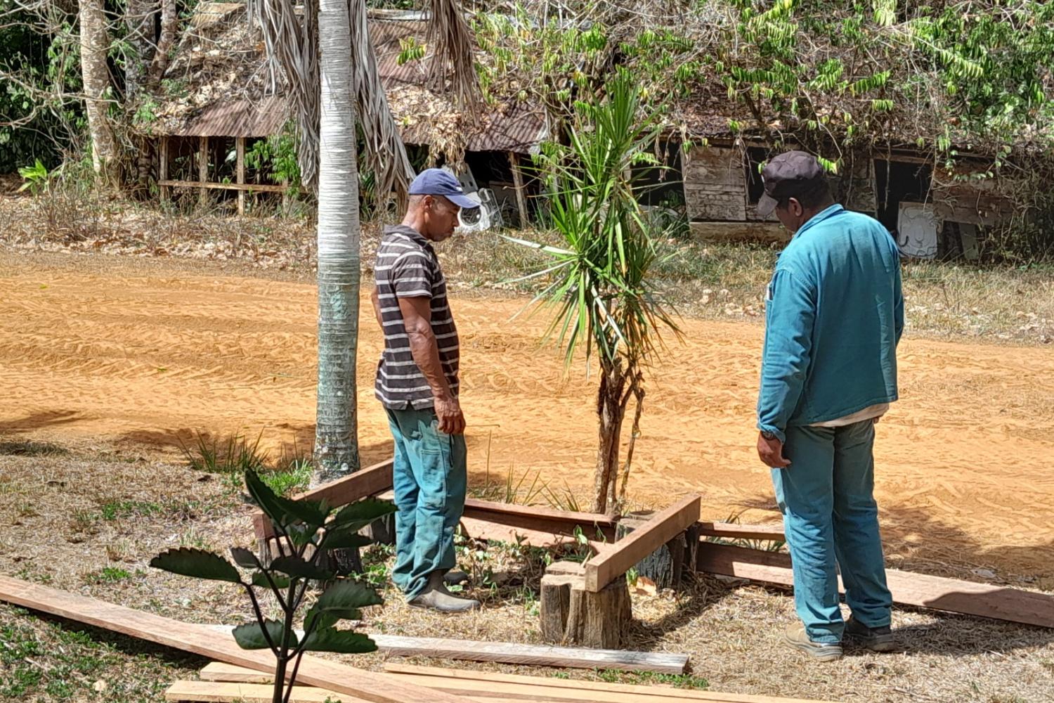 potager école Saül