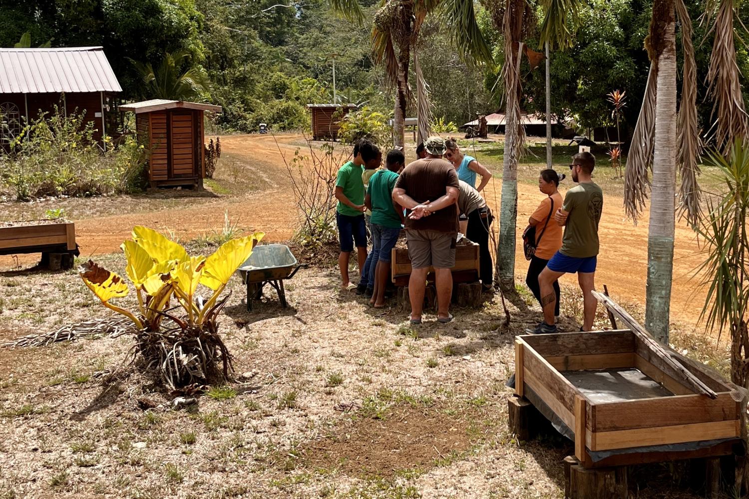 potager école